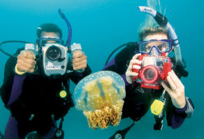 PADI Digital Underwater Photography Course 1